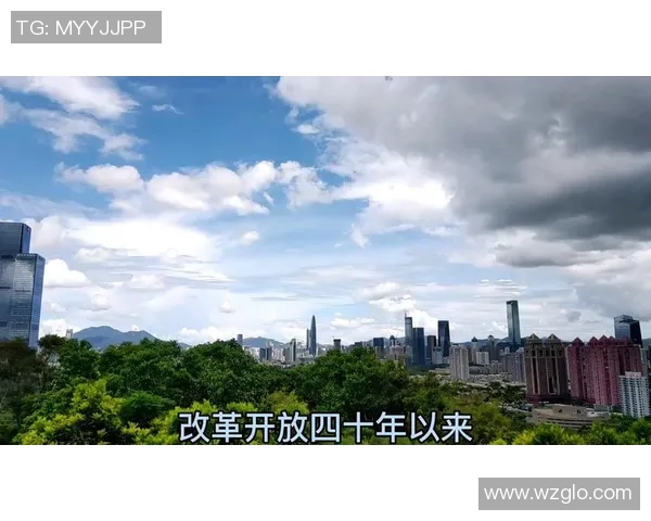 深圳篮球队蜕变之旅从低谷到巅峰的精彩历程与未来展望