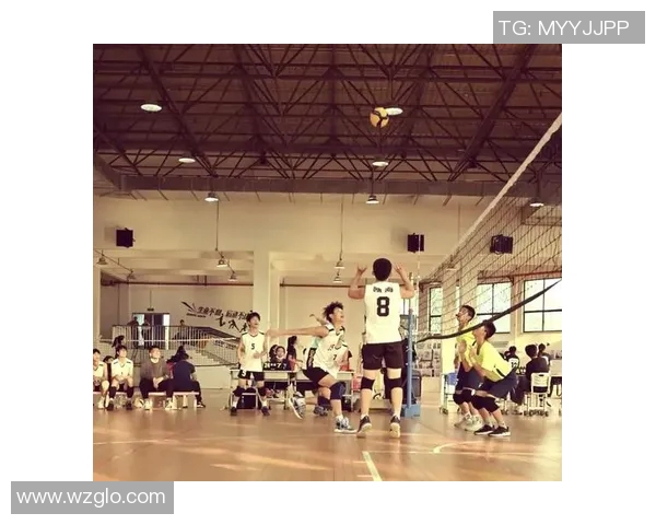 成都排球队荣登排球灵活性排行榜首位展现卓越实力与团队协作