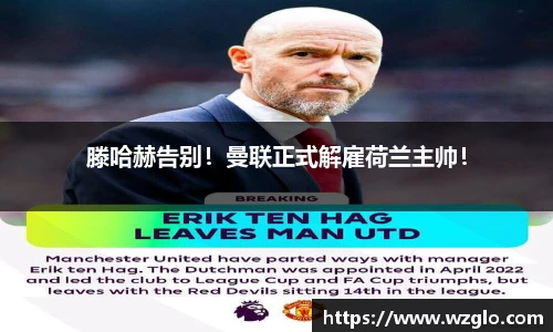 南宫28NG相信品牌力量