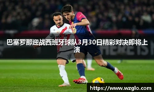 南宫NG28