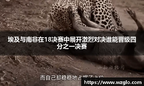 南宫28