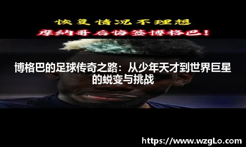 南宫NG28